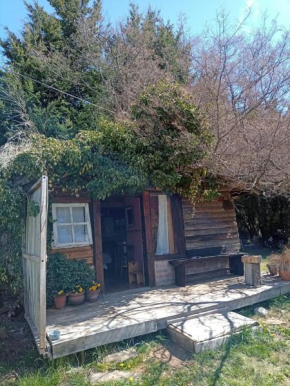 BAJO EL ÑIRE San Carlos De Bariloche